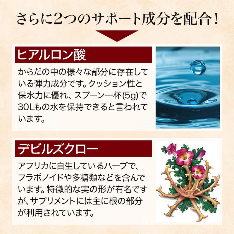 【リプサ公式】 グルコサミン＋コンドロイチン 約3か月分 C-221 ヒアルロン酸 サプリメント