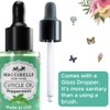 Maccibelle Cuticle Oil 0.5 oz - Heals Dry Cracked Cuticles