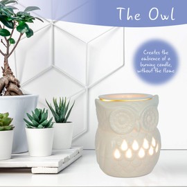 airpure Owl Electric Wax Melter, Cream White, 13.5CM, 1 Count (Pack of 1)