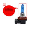 DZG Super White Bulbs