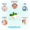 XyloBurst - Xylitol Mints | Sugar Free Breath Mints for