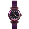 RORIOS Cute Wristwatch, Women's, Popular, Analog Watch, Magnetic Mesh Band,