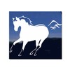 Galloping Dun Horse Trailer Vinyl Window Decal Sticker