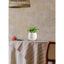 Serene Spaces Living Set of 2 Small Creamy White Ceramic Cup-Shaped Vase, Modern Floral Bowl Vase for Living Room Decoration, Entryway, Bedroom, Kitchen, Office, Measures 4" Diameter & 3.5" Tall