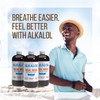 Alkalol Solution Original Nasal Wash, 16 fl oz (pack of