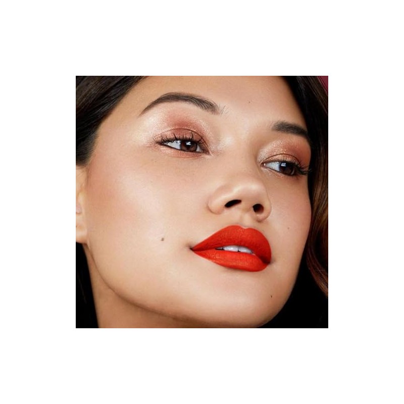 Labial Mate Profesional No Transfiere, Acabado Mate Sedoso que No