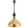 Hanging Food Heat Lamp Commercial Food Warmer Lights Telescopic Heating