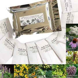 Pollinator Seed Kit, 3,000 Seeds, Perennial Wildflower Seeds, Colourful Flower Garden Seeds, 9 Seed Packets - Smoke Camp Crafts