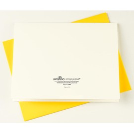 Sunshine Expressions Blooming Rose High-End Photographic Smooth Note Cards 8 w/10 Colored Envelopes, Boxed Set (4.25"x 5.50") Blank Inside - Made in USA