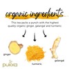 Pukka Organic Three Ginger Tea