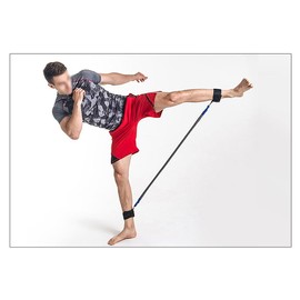 EULANT Premium Padded Ankle Straps for Cable Pull for Leg Training Gym Fitness Training Pack of 2 Strong Velcro Fastening for Full Adjustment