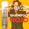 Shampoo Para Tonos Cobrizos Sin Sal Y Parabenos 280ml Stylum