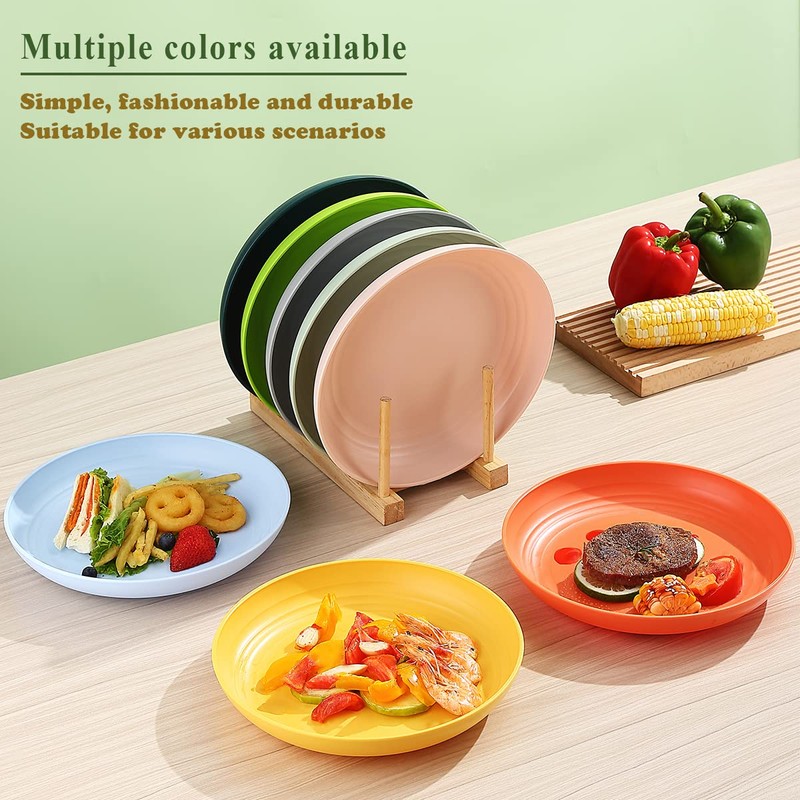 Berglander 9 Inch Plastic Deep Dinner Plates Set of 8