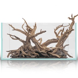 Ultum Nature Systems 16S Rimless Aquarium - 0.7 Gallon Nano Tank, 5mm Thick Ultra Clear Low Iron Glass Aquarium, Rimless Aquarium Kit w/Black Leveling Mat - Tank Measures 6.3 in x 6.3 in x 3.94 in