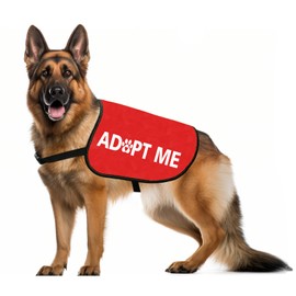 JXGZSO Adopted Dog Adopt Dog Jacket Vest Adopt Puppy Jacket Vest New Puppy Gift (Adopt M L)