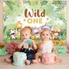 Wild One Birthday Decorations Backdrop - 1st Birthday Decorations for