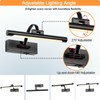 Tassuowell Battery Powered Picture Light with Remote and Timer,Full Metal