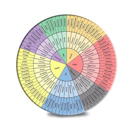 Wheel of Emotions Feelings Coasters for Drinks,Set of 2 Absorbent Stone Coasters with Ceramic Cork Base for Kinds of Mugs Cups, for Coffee Table Housewarming Gift Home Decor Counselor Therapist Gifts