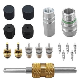 BDZMC 15PCS Car Air Conditioning Valve Core Kit, R12 R134A Teflon Seal Cap Valve Kit with Removal Tool for High Low-Pressure A/C Service Port, Car & HVAC AC Refrigerant Tool