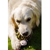 Petface Bert Rope Ball Dog Toy