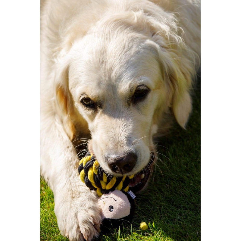 Petface Bert Rope Ball Dog Toy