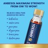 Anbesol Maximum Strength Oral Anesthetic Liquid - 0.41 fl oz