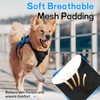 rabbitgoo Escape-Proof Dog Harness Medium with Large Handle, Adjustable No