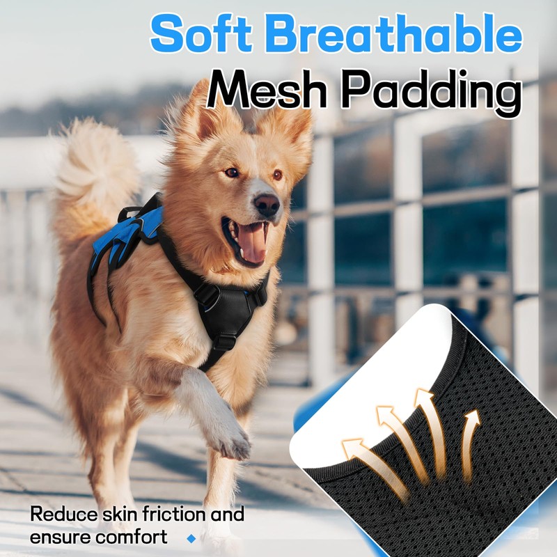 rabbitgoo Escape-Proof Dog Harness Medium with Large Handle, Adjustable No