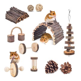 Roczential 11Pcs Hamster Toys Set Natural Wood Hamster Cage Accessories with 11-Pack Different Chew Toys Natural Molar Tools for Rabbit Guinea Pig Gerbil Chinchilla.