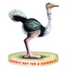 signs-unique Guinness Ostrich Resin Figurine 135mm x 95mm (sg)