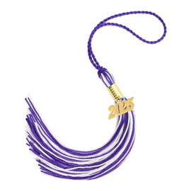 Tassels 2025, Graduation Tassels, Graduation Tassels 2025, Tassels Pendant Tassels, 2025 Graduation Tassel with Gold Charm Decorations for Graduation Hat, Tassels Purple, White