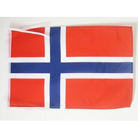 AZ FLAG Norway Flag 18'' x 12'' Cords - Norwegian Small Flags 30 x 45cm - Banner 18x12 in