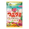 Kasugai Seika Tsuzu Gummy Vacance 2.6 oz (75 g) x