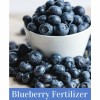 Helena Blueberry Special 16-4-8 Fertilizer - 50 Lbs.