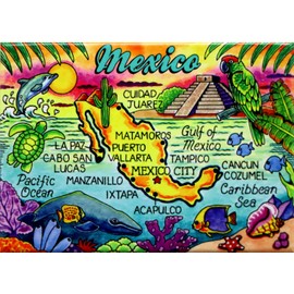 Mexico Map Caribbean Fridge Collector's Souvenir Magnet 2.5 inches X 3.5 inches