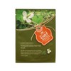 Artbox /TikTok Entel Mask Pack Houttuynia Cordata 20ml / /틱톡 엔텔 마스크팩 어성초 20ml