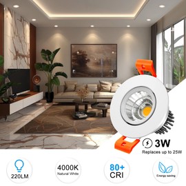 inShareplus 2 Inch LED Downlight, 3W COB Dimmable Recessed Lighting, 4000K Natural White, CRI 80, Ceiling Lights with Driver, 20Pack