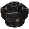 Pentair 24900-0503 Drain Plug Replacement for select Sta-Rite Pool and Spa Filters