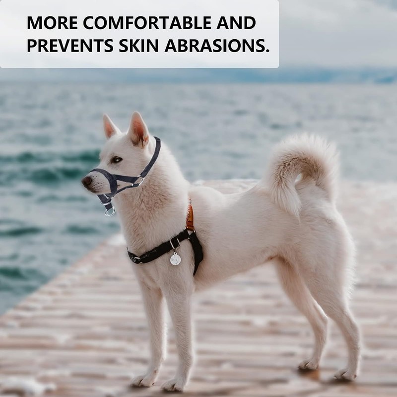 Dog Head Collar with Padded Fabric, Head Harness for Dogs,