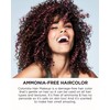 L'oreal Paris Hair Color Colorista Makeup 1-day for Blondes, Silverblue600,