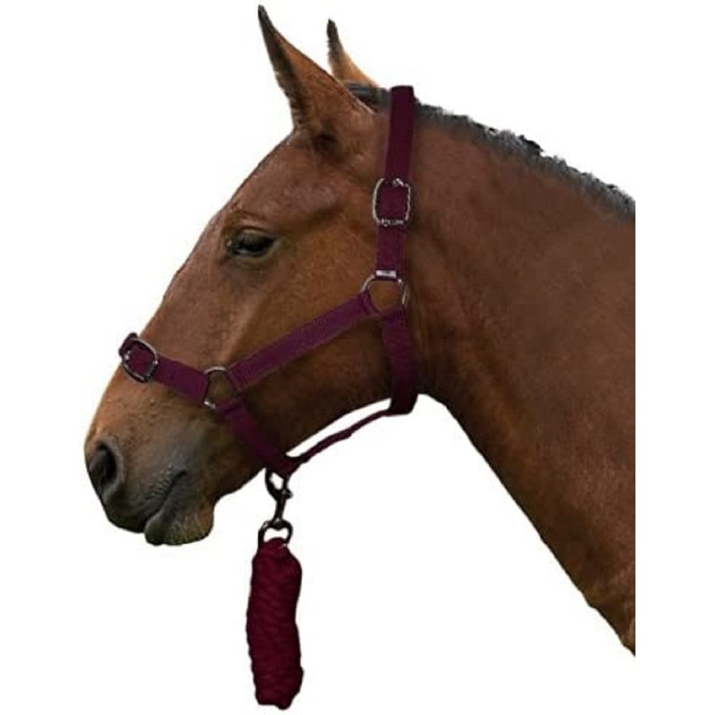 Gallop Basic Nylon Headcollar and Lead Rope Set, Full Size,