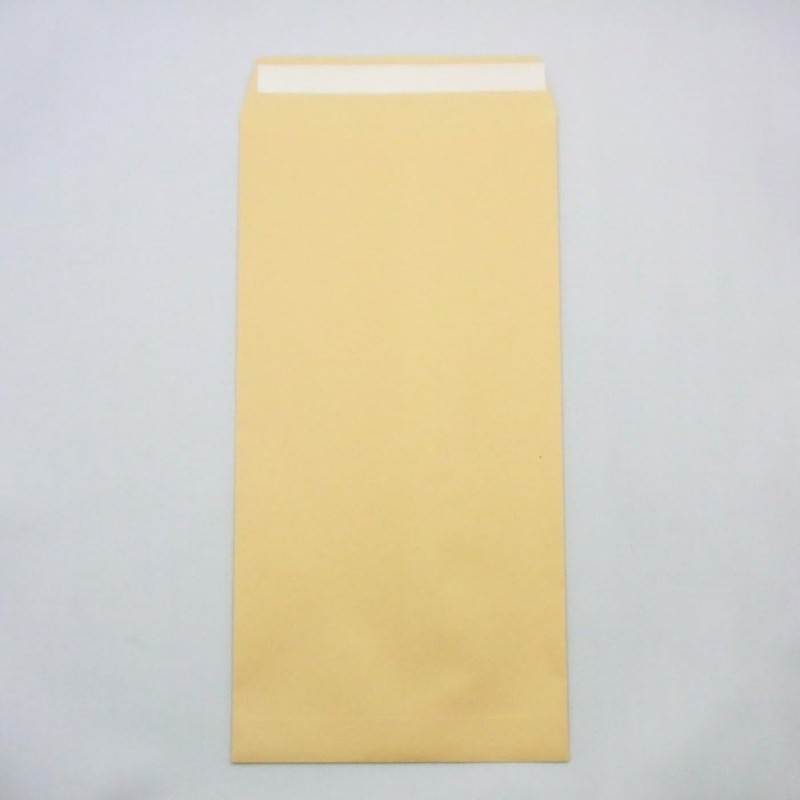 Maruai PNO-138 Envelopes, No. 3 Long, Brown Envelopes, Kraft Envelopes,