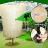 Oleitodh Plant Covers Freeze Protection: 4 Pack 90Hx75W Inch Large