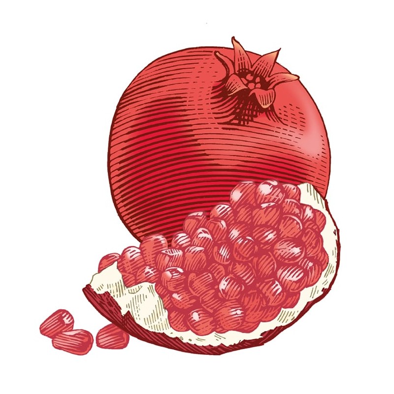 Burt's Bees Lipbalm Stick