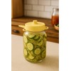 Silicone Airlock Fermentation Lids for Small Mouth Mason Jars. For