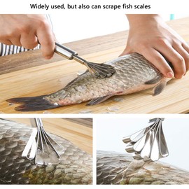 Stainless Steel Coconut Scraper Five-Jaw Design Household Kitchen Tool Coconut Planer Accessory