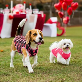 LyssKMK 4 Pack Valentine‘s Day Dog Shirts Heart Love Letter Tank Tops for Small Medium Dogs Flamingo Pattern Sleeveless Vests for Cats Kitten Puppies S