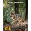 Misstech 4K UHD Solar Trail Camera for Game & Wildlife
