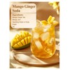 LOOMICA Mango Ginger Tea Bags, Caffeine-Free, Spiced Herbal Tea with