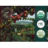 Artizan Coffee USDA Organic Espresso Coffee Capsules For Nespresso Original